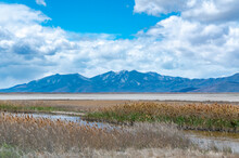Beautiful Landscape Of A River In Tall Meadow Grass And Mountains On The Horizon At The Bear River Migratory Bird Refuge In Utah, United States.