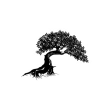 Logo Design Black White Tree