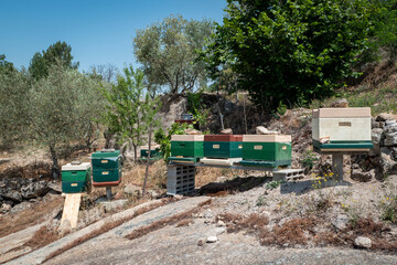 Colmeias coloridas com as abelhas ativas num campo rural em Portugal