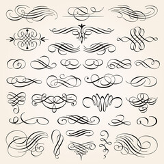 Wall Mural - vintage calligraphic design elements swirls vignettes and page decoration 2