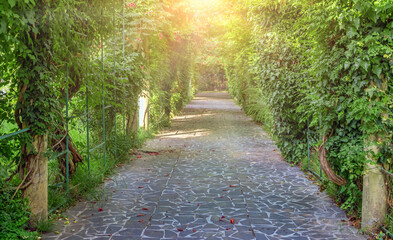 path in blooms under arch from green trees