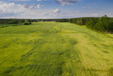 Fototapeta  - Pola i łąki wiosną widziane z dużej wysokości. Zdjęcie z drona.
Rozległy, płaski teren pokryty zielonymi polami uprawnymi i łąkami. Widać polną drogę, kępy drzew, oraz na obrzeżach iglasty las. Widok