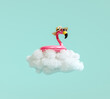 Pink flamingo inflatable belt with hat and sunglasses floating on white cloud 3D Rendering, 3D Illustration