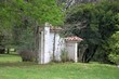 © Benjamin - Muro blanco en el jardin