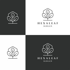 Wall Mural - Hexa leaf logo icon flat design template 