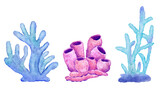 Fototapeta Do akwarium - Watercolor illustration of corals in blue turquoise purple colors, ocean sea underwater wildlife animals. Nautical summer beach design, Australian reef life nature, natural environment clipart.