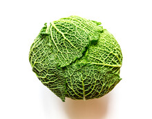 Savoy Cabbage Isolated On A White Background