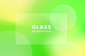 Wall Mural - Transparent rectangular in glass morphism style. Place for your texts. Vector illustration.