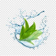 Green Tea Leaves In Water Splash, Herbal Drink Wave Flow, Realistic 3D Vector. Green Tea Leaf And Isolated Water Spill On Transparent Background For Ice Tea Fresh Drink Or Lemonade With Drops Splash