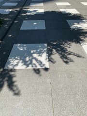 The tree shadows on the pavement of city central downtown Tokyo, year 2022 June 13th, Marunouchi area sunny weekday, Japan