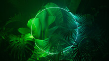 Blue And Green Neon Light With Tropical Plants. Circle Shaped Fluorescent Frame In Nature Environment.