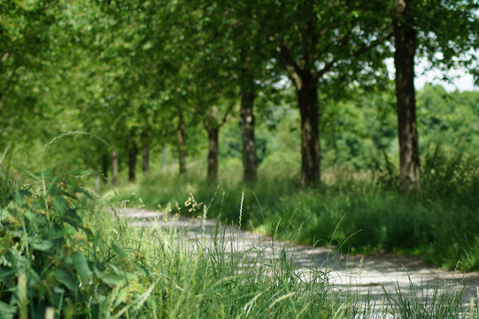 Romantischer Feldweg in Mülheim an der Ruhr