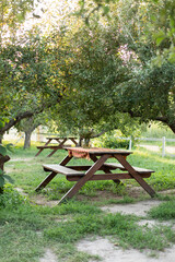 Wall Mural - Beautiful picnic area with wooden table in summer garden. Resting place on park. Picnic place in Orchard at backyard. Wooden picnic table with benches on beautiful grass lawn in quiet place. Bench	