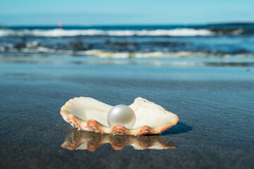 Beautiful pearl in the pearl shell on the shining black sand beach. Sea and blue sky.