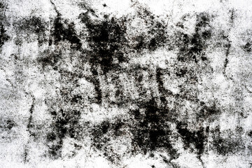 Wall Mural - detailed grunge grain texture overlay or background. high resolution