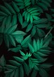 canvas print picture - green plant leaves in the nature in spring season, green background