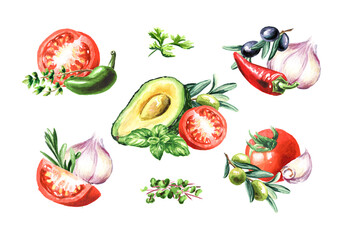 Wall Mural - Fresh vegetables set. Hand drawn watercolor illustration, isolated on white background