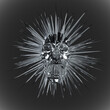 Abstract front view illustration from 3d rendering of metallic screaming skull with exploding spike rays in black and white monochrome tones.