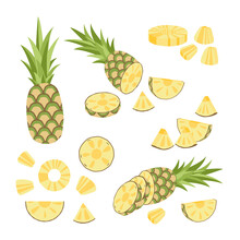 Pineapple Set. Pineapple, Piece, Bit, Round. Cut Pineapple. Flat, Vector