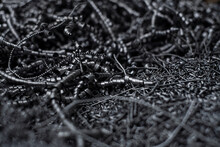 Iron Chips From Industrial Waste Of Steel Products
