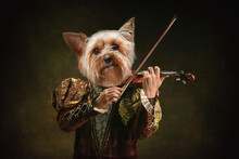 Violinist. Model Like Medieval Royalty Person In Vintage Clothing Headed By Dog Head Isolated On Dark Vintage Background. Concept Of Comparison Of Eras, Artwork. Surrealism