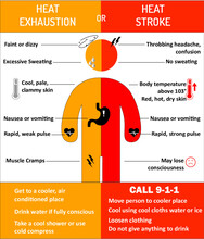 Heat Stroke- Exhaustion Vector To Create Poster. Graphic Rebuilt From Weather.gov Site To Create Larger Infographic.