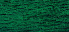 Abstract Green Bark Background Of A Tree In The Forest With Relief. Texture Of Tree. Bark Horizontal Image. Wooden Texture Background. Abstract Green Background (focused At Center Of Image).
