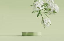 3D Display Podium Pastel Green Background. White Flower With Leaf. Nature Blossom Minimal Pedestal For Beauty, Cosmetic Product Presentation. Summer And Spring Feminine Copy Space Template 3d Render