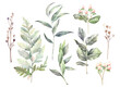 Watercolor floral arrangements with leaves, herbs, flowers. Botanic illustration for wedding, greeting card.