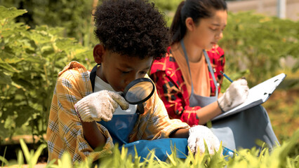 Little boy use drill to see fresh organic vegetables while little girl write on white paper on clipboard in farm. Education students learn vegetables in school garden during science class out concept.