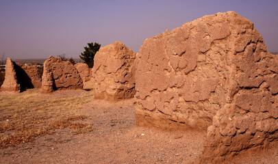 Wall Mural - Ruins of Fort Selden near Radium Springs New Mexico