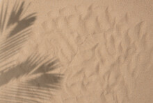 Tropical Beach Sand With Shadows Of Coconut Palm Tree Leaves