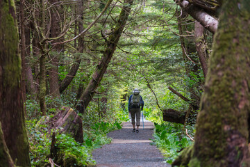 Sticker - Hike in the forest