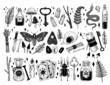 Collection of mystical objects drawn in engraving style. Vintage magic items, scoops, crystals, snake, moth and others. Elements for design. Tarot.