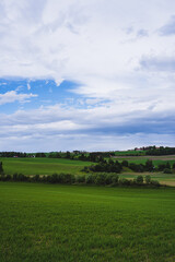 Wall Mural - Green fields in early summer by Skreia, Toten, Norway.