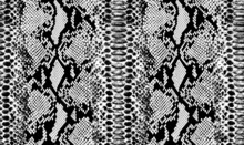 Snake Skin Pattern Texture Repeating Seamless Monochrome Texture Snake. Fashionable Print. Fashion And Stylish Background