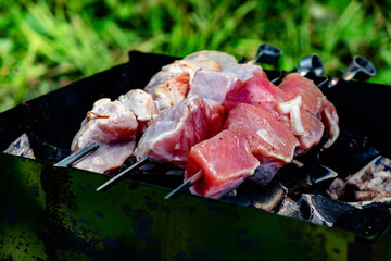 Burnt pork skewers on iron grill, outdoors, close-up, over real charcoal.