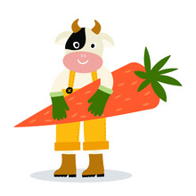 Cute Cow Farmer Holding A Big Carrot, Attractive Cartoon Animal Dressed In Human Clothes. Vector Illustration