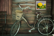 Picture Of An Old Bicycle Mounted On A Wooden Wall For Landscaping.