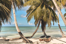 Palm Trees On The Beach Of Saona Island In The Caribbean Sea. Summer Landscape.