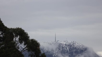 Wall Mural - snowy mountain tops with eucalyptus gum trees in the foreground and thick white clouds