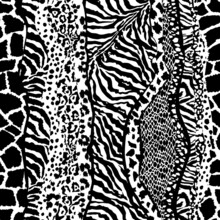 Black And White Wild Animal Skins Patchwork  Abstract Vector Seamless Pattern