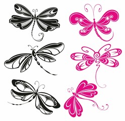 Wall Mural - Set of stylized dragonflies. Collection of linear flying dragonflies. Vector illustration of on a white background.