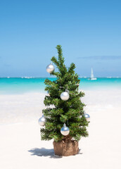 Wall Mural - Christmas fir tree on sandy beach. Tropical New year celebration