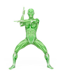 average man muscle maps is doing a karate pose