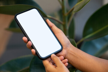 woman's hand holding a phone with a white