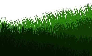 Wall Mural - Grass. Nature rural landscape. Pasture overgrown. Overgrown dense lawn. Isolated on white background. Vector