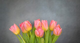 Fototapeta Tulipany - Background. A bouquet of pink-yellow tulips on a gray background
