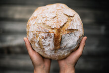 Traditional Leavened Sourdough Bread In Baker Hands On A Rustic Wooden Table. Healthy Food Photography