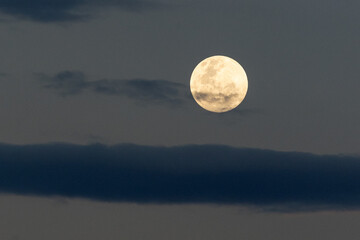 a super moon in the grey sky. yellow moon. nature.